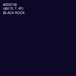 #0D0728 - Black Rock Color Image